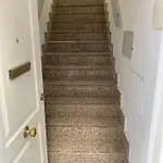 Vut Imperial La Ranita Salmantina