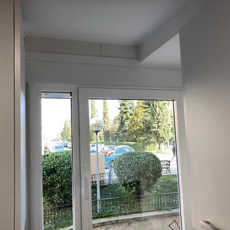 Vut Imperial La Ranita Salmantina Salamanque